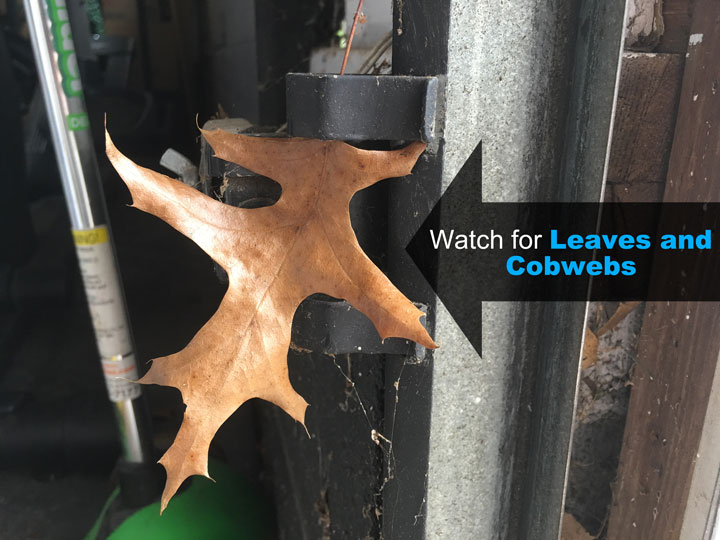 leaves and cobwebs in front of garage door safety sensors
